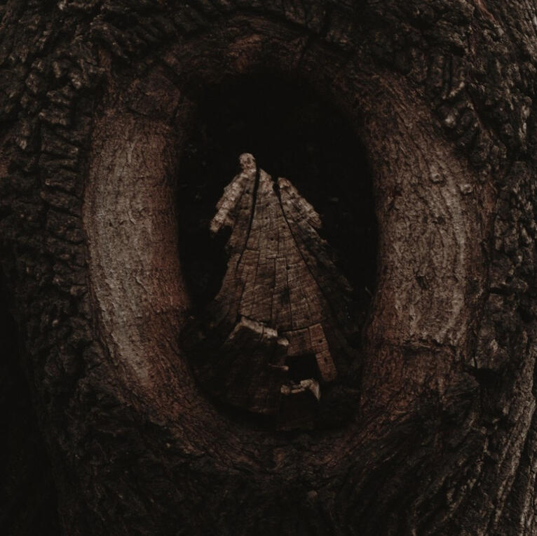 Part of a tree trunk that resembles a man stepping forward to explore a cave
