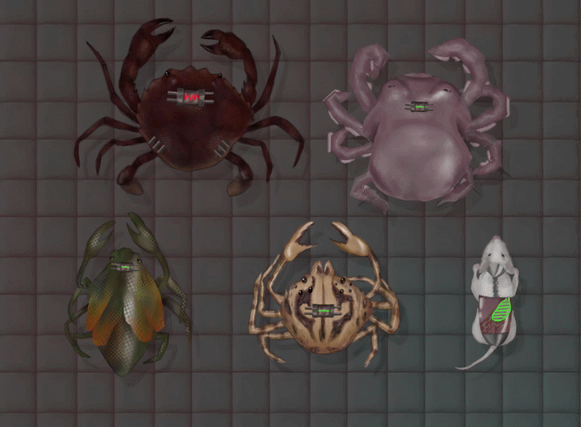Rigged & Animated Creature Assets